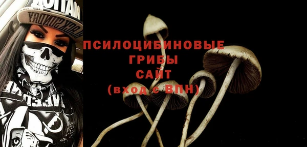 прущая мука Верхний Тагил