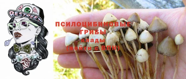 стаф Вязники