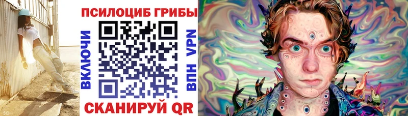 Купить закладки  Берёзовский  Галлюциногенные грибы Psilocybe 